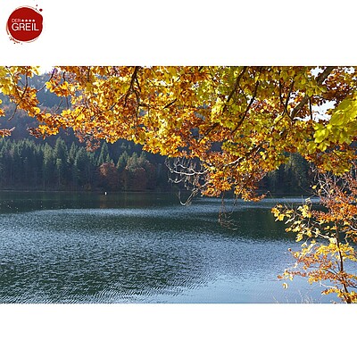 Der Kaiserherbst ist Wanderzeit am Wilden Kaiser. Genau wie im Frühling versteht es die Natur auch im Herbst besonders gut, ihre ganze Schönheit zu präsentieren.